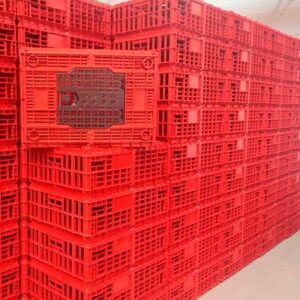 Jaba para Pollo Vivo